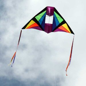 Cell Delta Single String kite with wingtip tails in flight