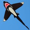 Shark shaped single line kids kite with black sail body, black and white eyes, grey gills and underbody