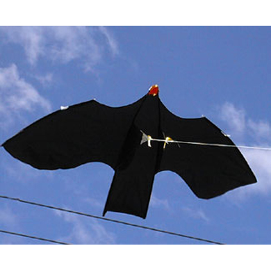 Bird Scarer - Leading Edge Kites