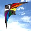 Backdraft dual control stunt kite