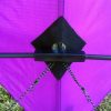 close up of Offshore stunt kite showing rods and strings