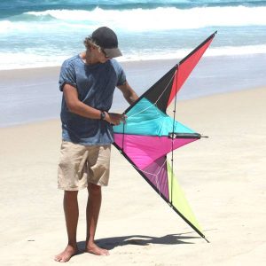 Wind Dancer Performance Kite