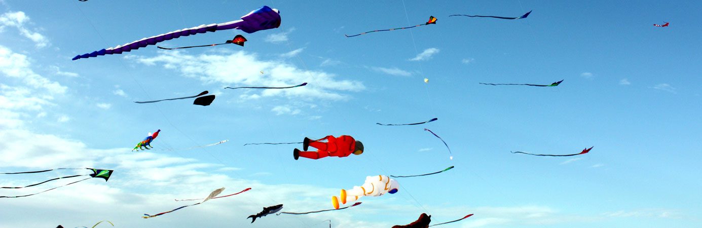 About Leading Edge Kites- Kite Makers- Australia's best kite shop