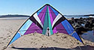 Viper sports kite sitting on the sand