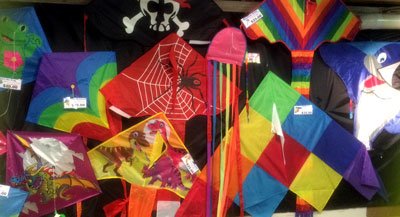 single string kites on wall in our Leading Edge Kites shop in Burleigh Heads