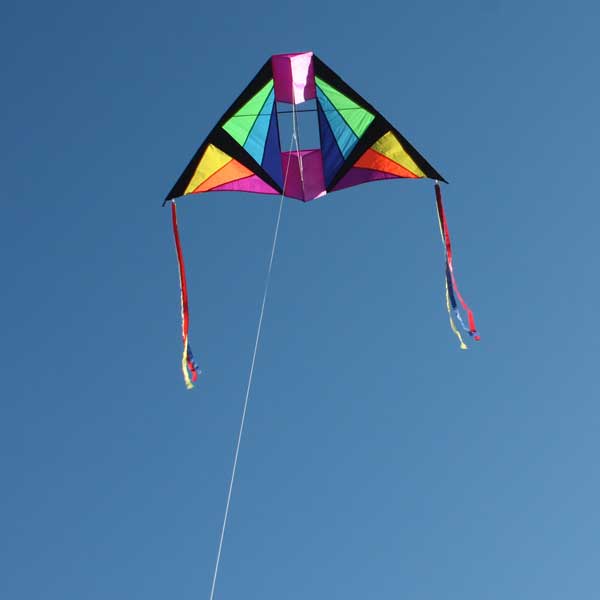 Cell Delta kite - Leading Edge Kites Large kite for kids & adults