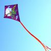 long distance shot of dragon diamond kids kite showing long tails