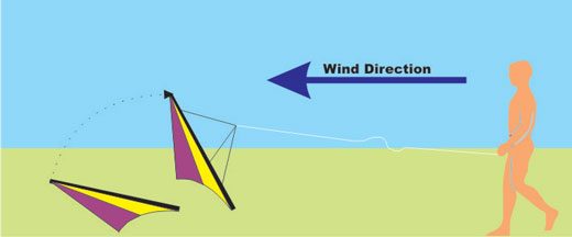 to launch a dual control kite just move back a little until the kite stands up on it's wingtips then pull down with both hands
