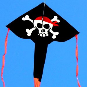 delta kite with printed Pirate design and long tail