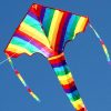 Rainbow delta long tailed kite for kids in flight