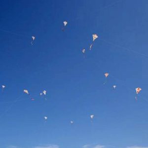 Make your own Kite kits for Teachers & Workshops