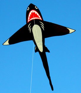 Large shark kite for children