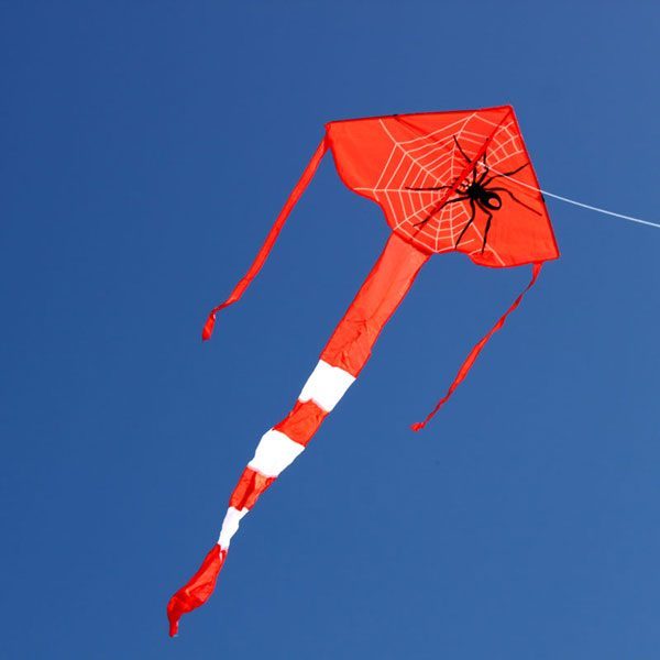 red and black delta shaped kite with spider printing. This is a Single string children's delta kite