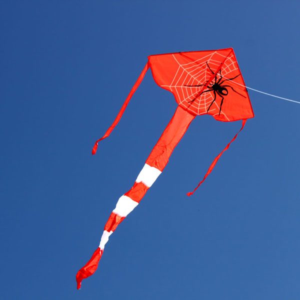 Spider kite - Leading Edge Kites - Single string Spider childrens kite