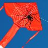 Delta shaped children's kite with redback Spider and white web printed on the sail