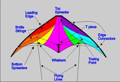 all parts of a stunt kite labelled