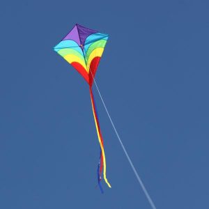Waves kite