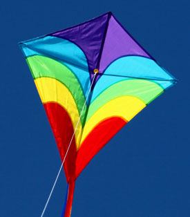 Waves sigle string kite for children in the sky