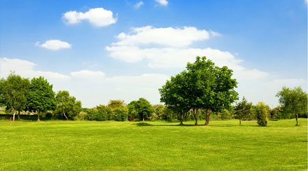 Parks are great places to go kite flying with the kids