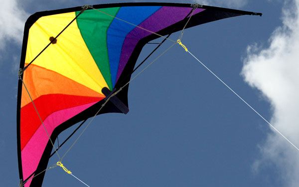 2 line multi color stunt kite