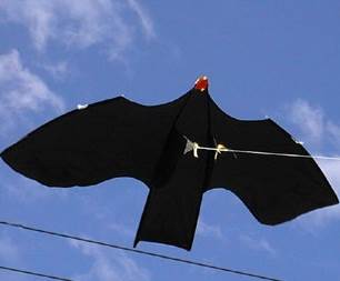 Peter Lynn black Crow shaped bird scarer kite