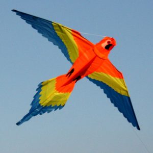Bird Kite
