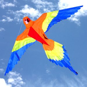 Orange Lorikeet kite
