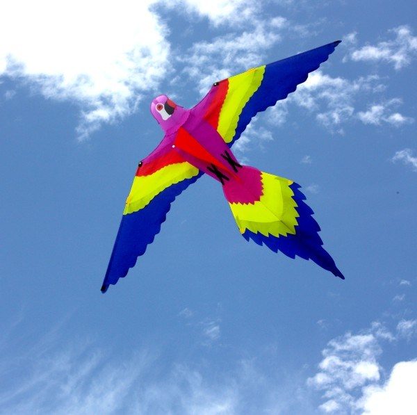 Bird shaped single string children's kite in the sky