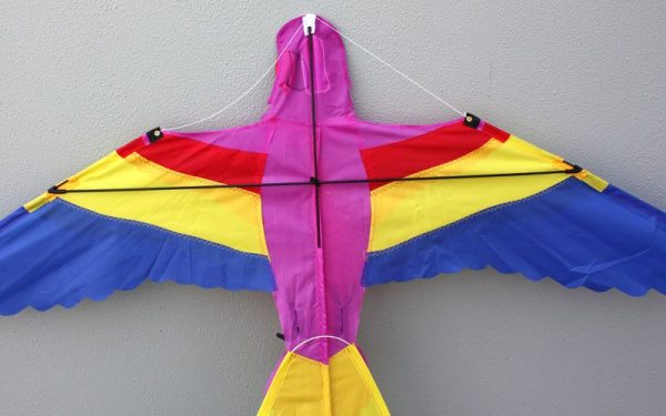 Single string Bird shaped kids kite showing frame detail
