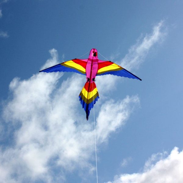 multicoloured lorikeet Bird shaped kite for kids in flight