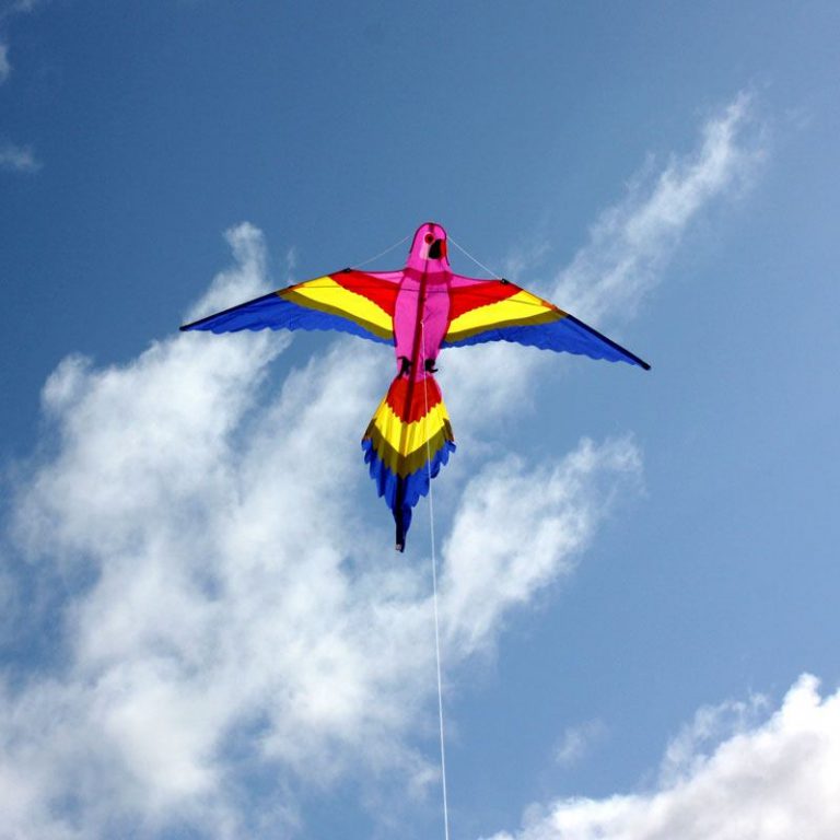 blue bird kite