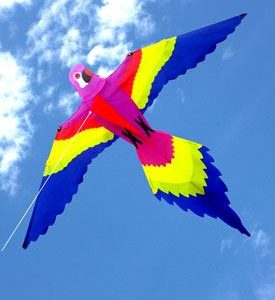 Bird Kite