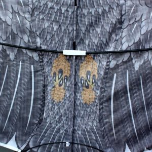 Eagle Kite