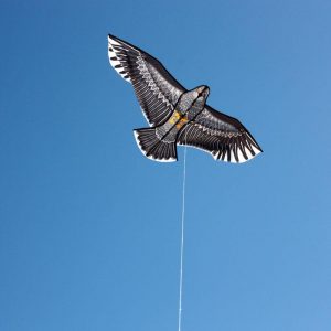 eagle kite for kids
