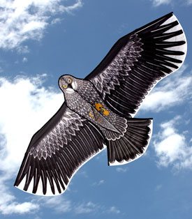 Black and white Eagle shaped single line childrens kite