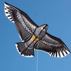 eagle shaped kids kite flying against clear blue sky