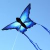 Ulysses blue butterfly shaped childrens kite for sale in Australia