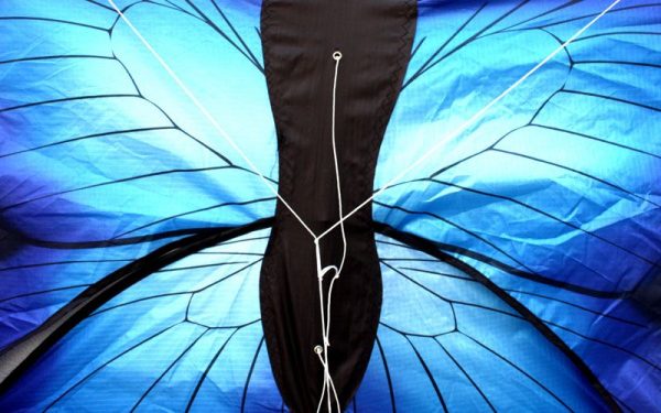 string details of blue butterfly easy to fly kids kite for sale in Australia