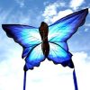 Blue and black Ulysses Butterfly Kite for Kids