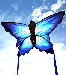 Blue and black Ulysses Butterfly Kite for Kids