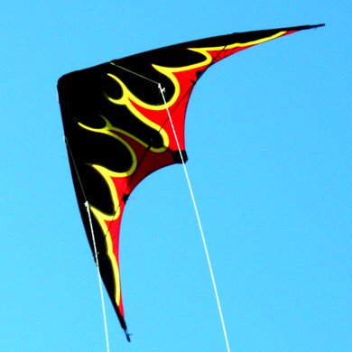 Flames dual control teenagers kite in flight
