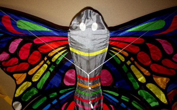 close up of printing quality on rainbow butterfly single line kite at Leading Edge kites
