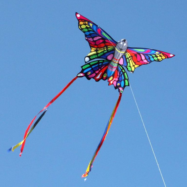 Rainbow Butterfly kite Leading Edge Kites Single line kids kite