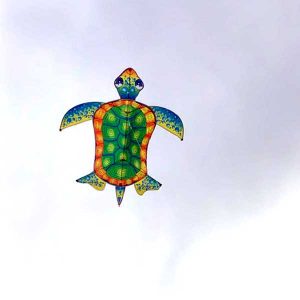 Sea Turtle kite