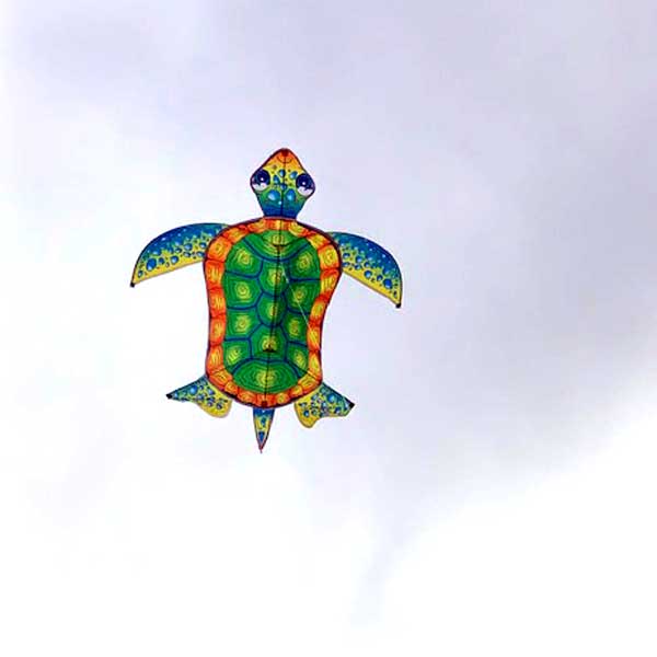 ZHUOYUE Sea Turtle Kites for Kids Boys Girls,Single Line Nylon 3D Kite Easy Flye 