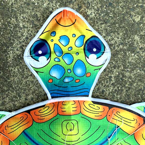 close up of Sea Turtle single string kites head printing