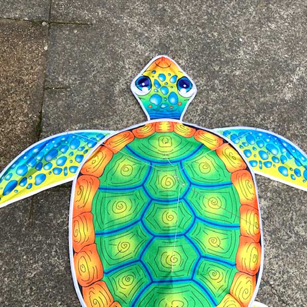 images showing beautiful printing on Sea Turtle kids kite