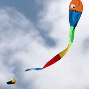 Wilma Worm Childrens Kite