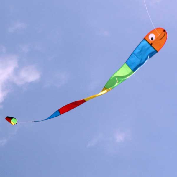 Wilma Worm childrens kite from Leading Edge Kites
