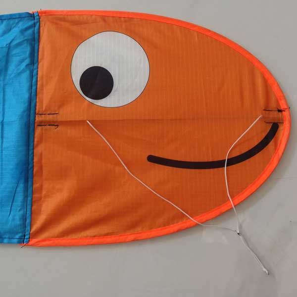 orange fabric with printed eye and smiles on the head of Wilma the Worm kids kite